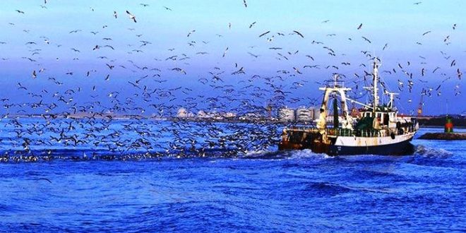  Consulta pública para revisão da legislação atual e aprovação dos regulamentos da pesca 